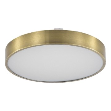 Zuma Line - LED loftlampe til badeværelse dæmpbar LED/50W/230V 3000-6000K diameter 50 cm IP44 messing + fjernbetjening