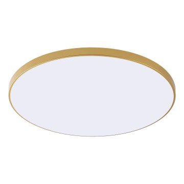 Zuma Line - LED loftlampe VERI LED/32W/230V Ø 37 cm, guld