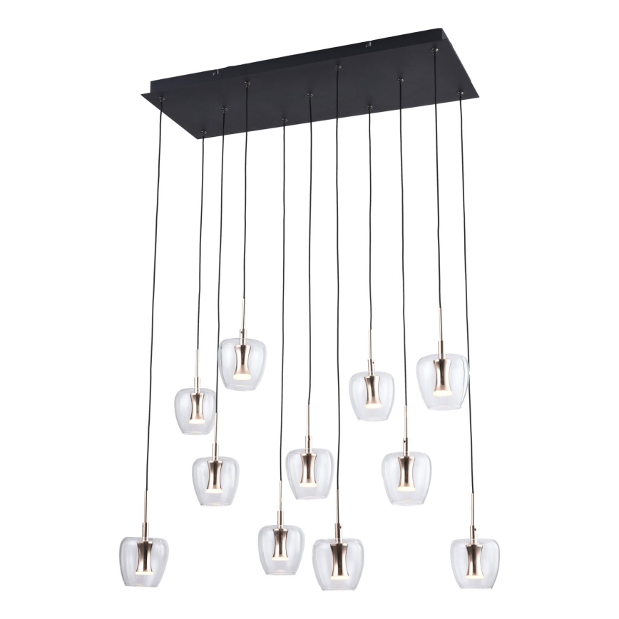 Zuma Line - LED-lysekrone med wireophæng 11xLED/3W/230V sort