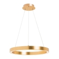 Zuma Line - LED-pendel med wireophæng LED/40W/230V Ø 50 cm, guld