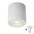 Zuma Line - LED RGBW dæmpbar badeværelsesspot 1xGU10/4,8W/230V IP44 hvid + fjernbetjening