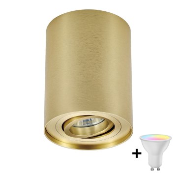 Zuma Line - LED RGBW Dæmpbar spotlampe 1xGU10/4,8W/230V guldfarvet + fjernbetjening