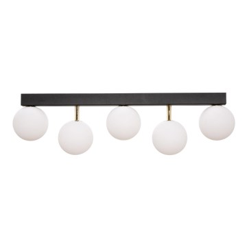 Zuma Line - Loftlampe 5xG9/40W/230V