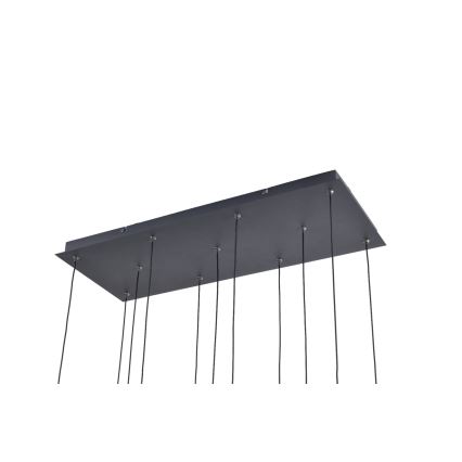 Zuma Line - LED-lysekrone med wireophæng 11xLED/3W/230V sort