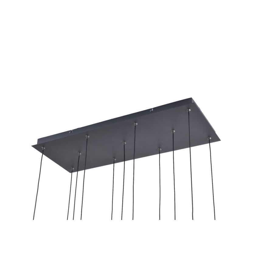 Zuma Line - LED-lysekrone med wireophæng 11xLED/3W/230V sort