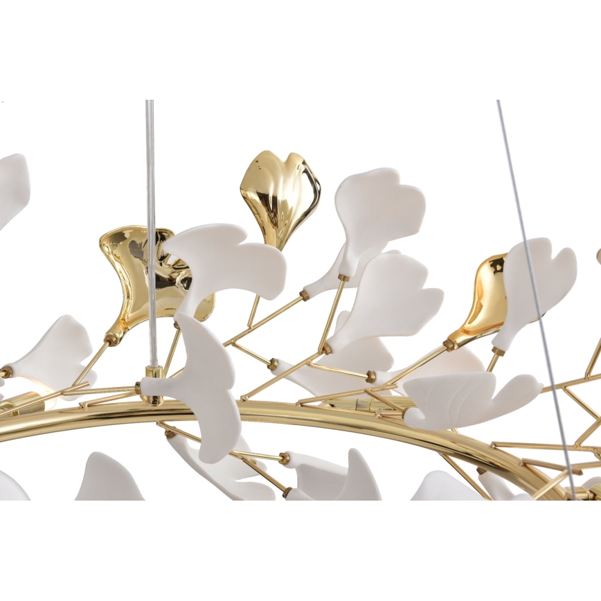 Zuma Line - Lysekrone på kabel 6xG9/42W/230V Ø 74 cm guld