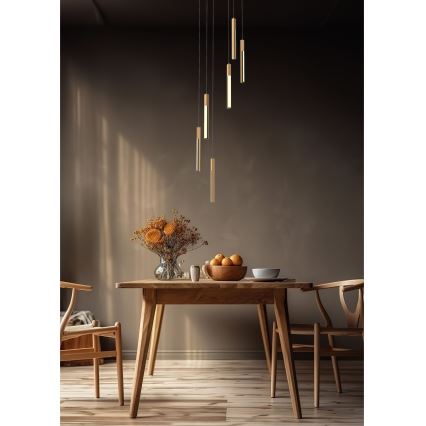 Zuma Line - LED dæmpbar loftlampe på kabel LED/25W/230V