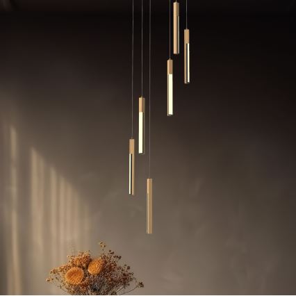 Zuma Line - LED dæmpbar loftlampe på kabel LED/25W/230V