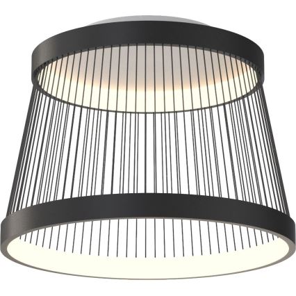 Zuma Line - LED loftlampe dæmpbar LED/32W/230V 2700-6000K sort + fjernbetjening