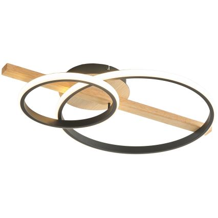 Zuma Line - LED dæmpbar loftlampe LED/17W/230V