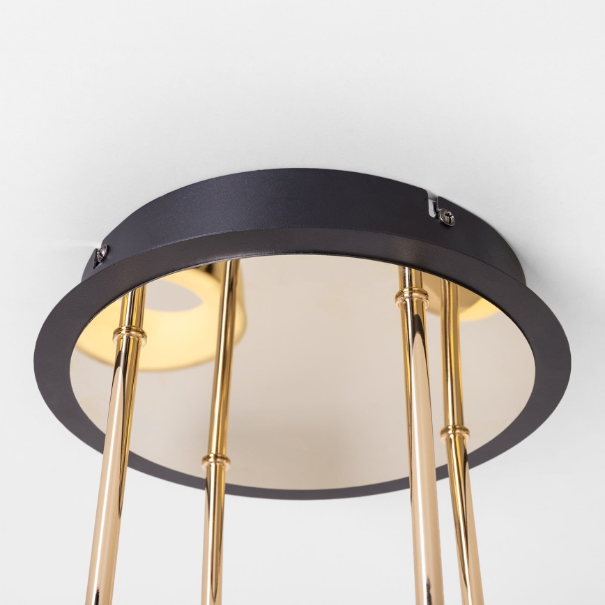 Zuma Line - LED dæmpbar overflademonteret loftlampe LED/60W/230V guld/sort