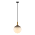 Zuma Line - Pendel med kabel 1xE27/25W/230V Ø 30 cm guld/sort