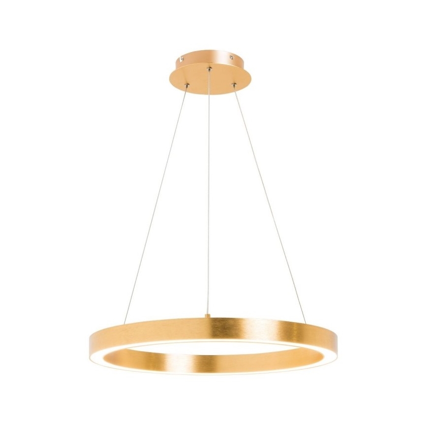 Zuma Line - LED pendel 1xLED/30W/230V 40 cm gylden