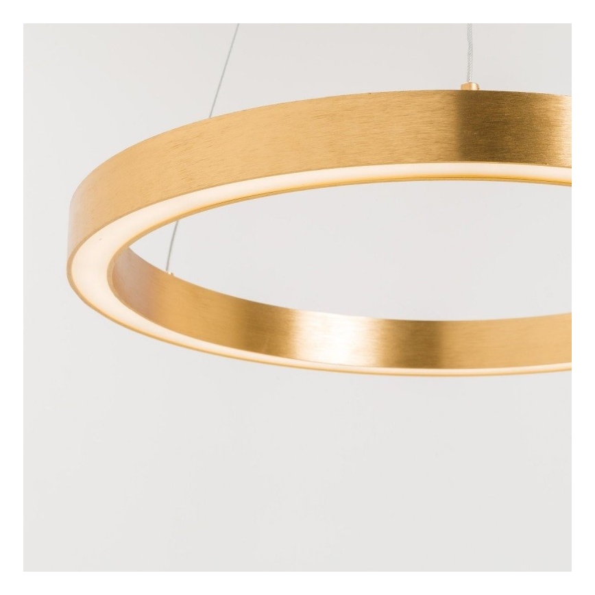 Zuma Line - LED pendel 1xLED/40W/230V diam. 50 cm gylden