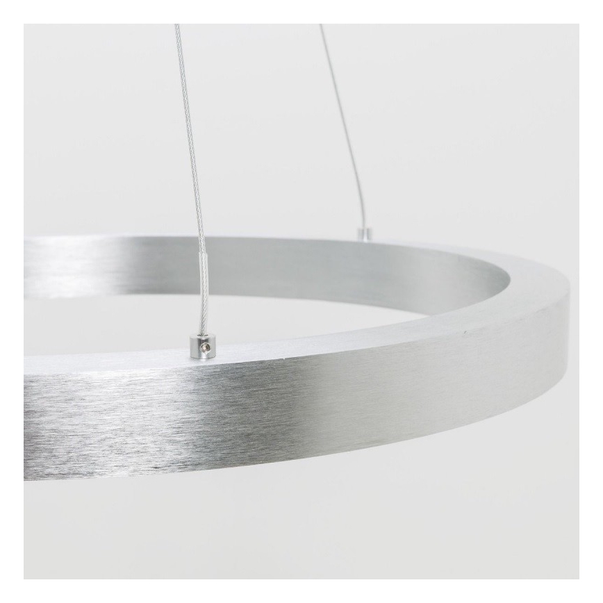 Zuma Line - LED pendel LED/40W/230V diam. 50 cm sølvfarvet
