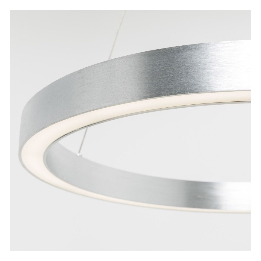 Zuma Line - LED pendel LED/40W/230V diam. 50 cm sølvfarvet