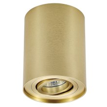 Zuma Line - Spotlampe 1xGU10/50W/230V guldfarvet