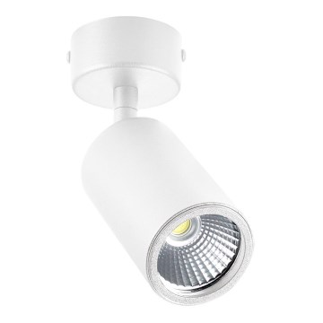 Zuma Line - Spotlampe 1xGU10/50W/230V hvid