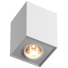 Zuma Line  - Spotlampe 1xGU10/50W/230V hvid