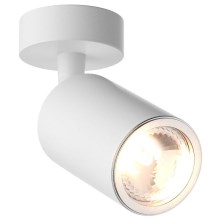Zuma Line - Spotlampe 1xGU10/50W/230V hvid