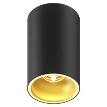 Zuma Line - Spotlampe 1xGU10/50W/230V sort/guldfarvet