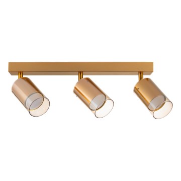 Zuma Line - Spotlampe 3xGU10/50W/230V guldfarvet