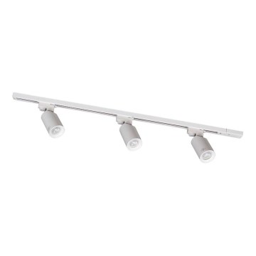 Zuma Line - Spotlys i skinnesystem 3xGU10/35W/230V hvid