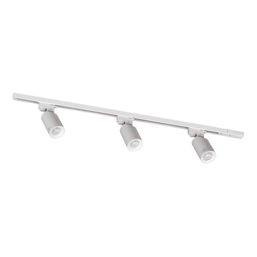 Zuma Line - Spotlys i skinnesystem 3xGU10/35W/230V hvid