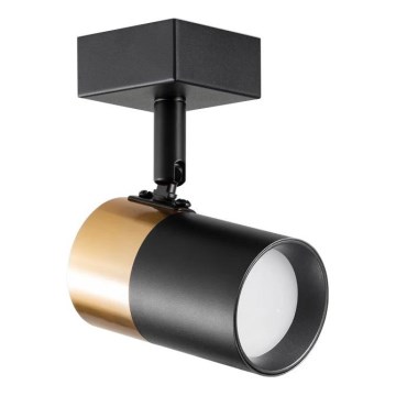 Zuma Line - Vægspot 1xGU10/50W/230V sort/guldfarvet