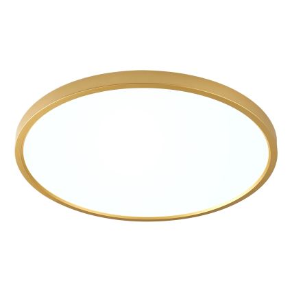 Zuma Line - LED loftlampe CAMI LED/36W/230V 3000/4000/6000K Ø 40 cm guld